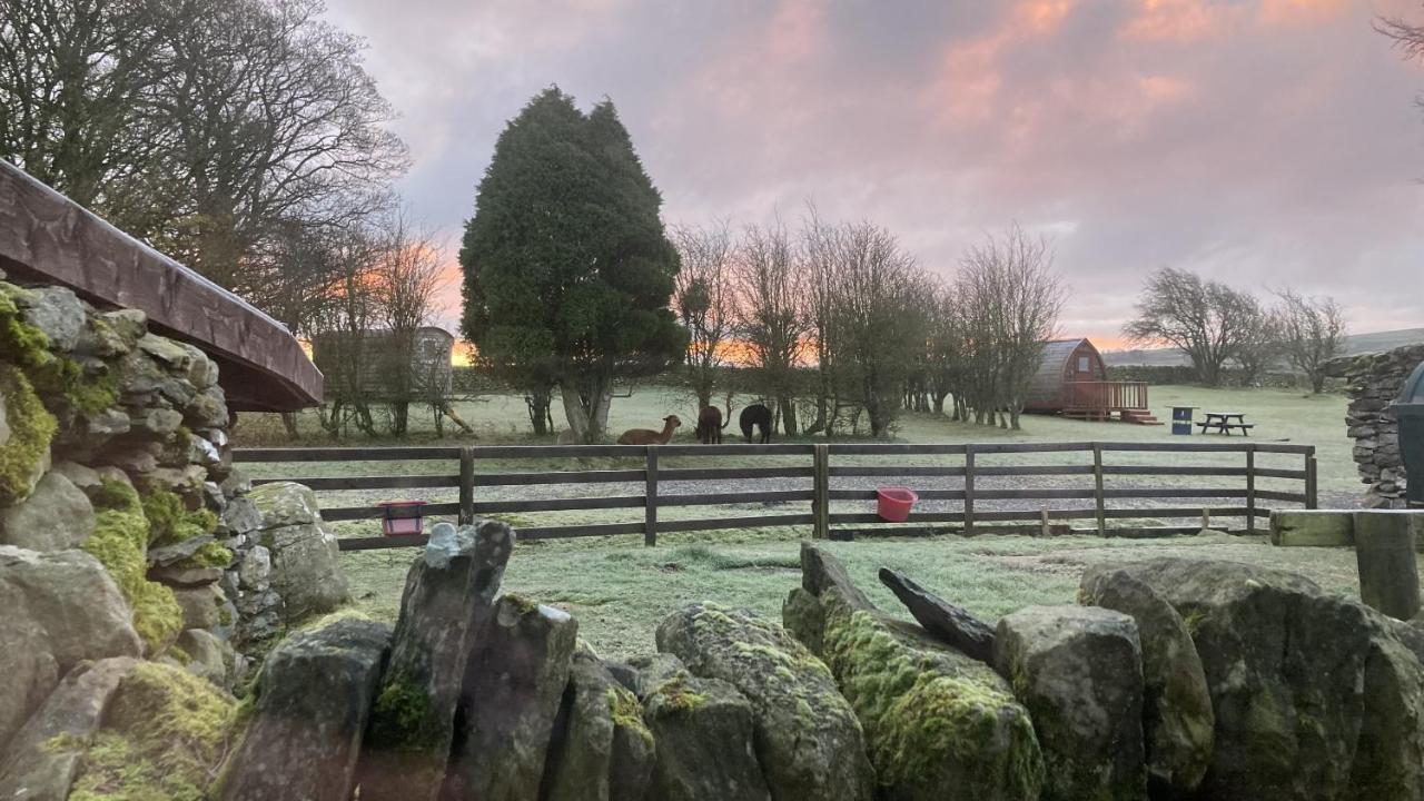 Llwyn Onn Guest House, North Wales Pentrefoelas Luaran gambar